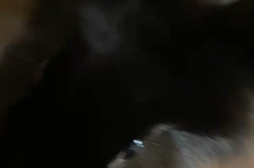 Salem eating carrot ASMR