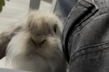 how cute!!