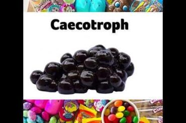 The yearly Easter flood is here
