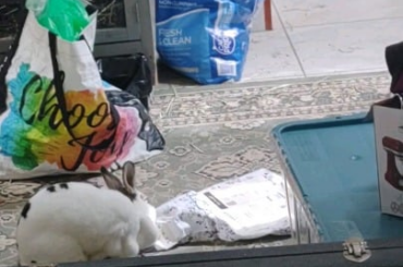 A little old and a little clumsy (watch to the end).