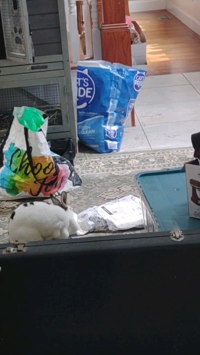 A little old and a little clumsy (watch to the end).