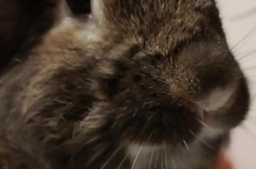 Bun mouf looks so good to kiss