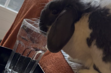 She prefers drinking out of a glass
