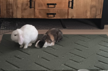 Poor Dave just got rejected