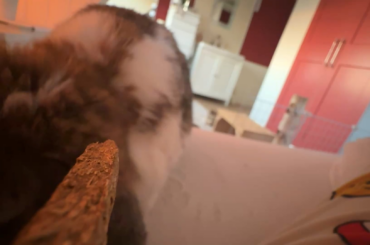 Pov: you’re a treat