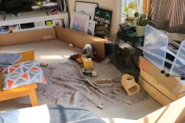 Lord Monty playing his Tambourine