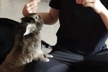 TuBao found a new hooman with treats!