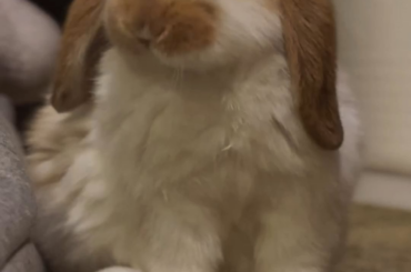 When my baby was only three months