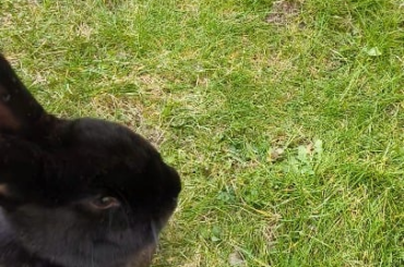 Oops (I did it again)