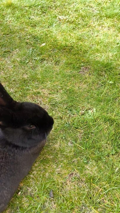 Oops (I did it again)