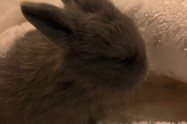 She's mad cause I wont let her near the edge of the table 😩😮‍💨