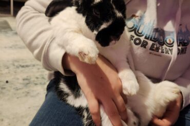 Angry boi