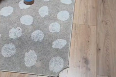 Traffic collision (hit and bun)