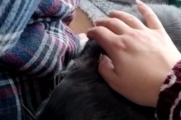 Sometimes I like to hold back my son's ears and pretend that he's bald