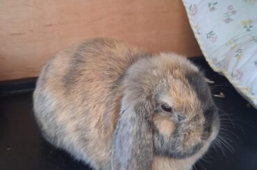 Stumbled upon this glorious loaf this evening