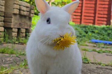 That time of year 🌼