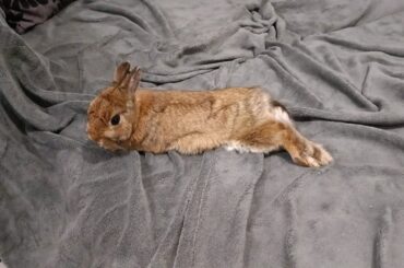 What does this posture mean ?