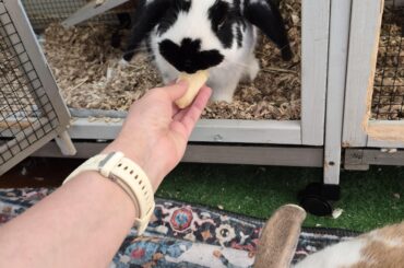 Nanners face!