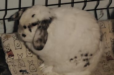 He genuinely gets an attitude with me when I get home late