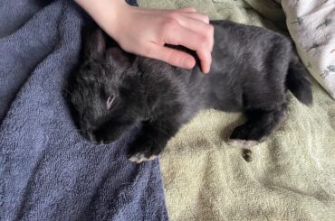 Need name suggestions!!