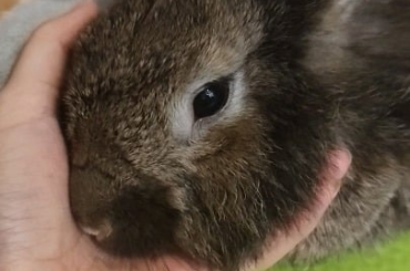 My realistic squishy 😍