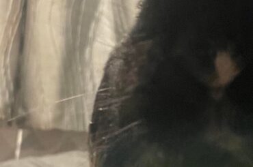 hey u got nanners???