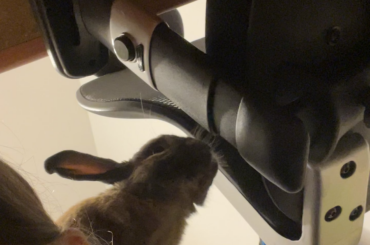 I guess I’m just a ladder for Micholas to reach his chair