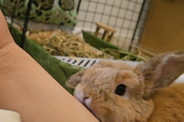 Today I am loved by Miso