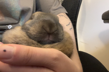 Micholas Cage napping :)