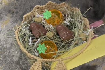 An Easter basket for the Granbun