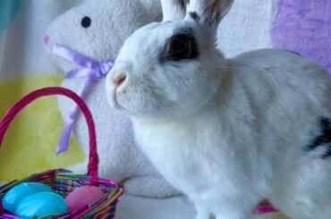 Happy Easter to those who celebrate 💞