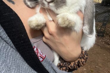 Bun color pattern