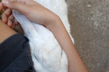 She loves having her head all squashed against me