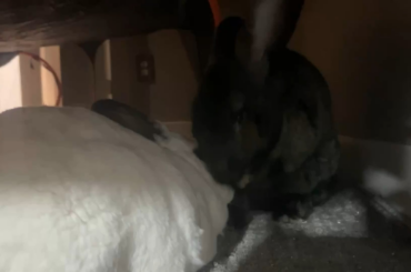 Bath time