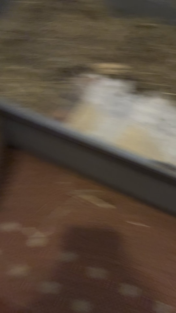 Sorry about the talking! Can’t can’t help it! Haha.