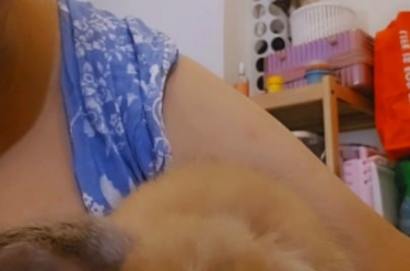 I don't think the ears are a phase. No sign of Miso giving them up