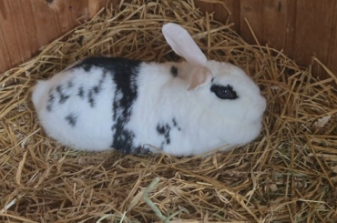 I Need Help Why Is She Twitching Like That