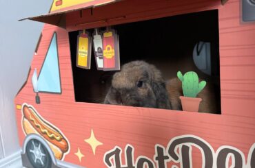 Fig's first day at the Hot Dog truck!