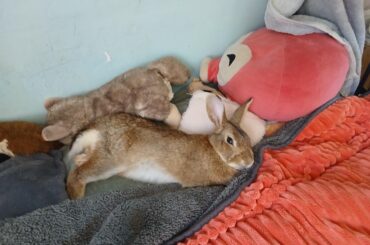 Help, I don't know what to do with this