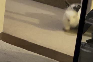 “Hello….goodbye.”