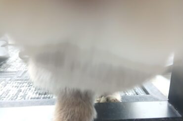 i cant stop laughing at this picture 😭😭