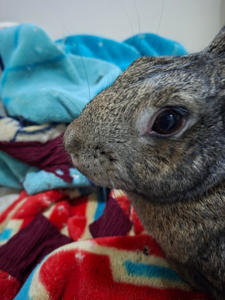 The criminal and her crime