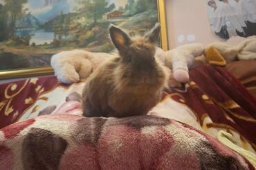 Introducing my son 🙂‍↕️✨️