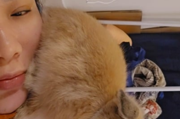 Miso again having no understanding or personal space