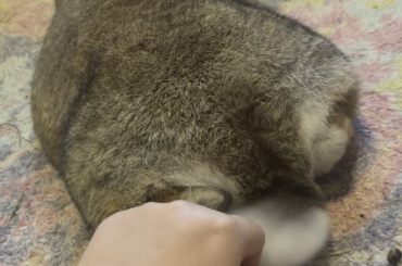 Touch it. You know you wanna.