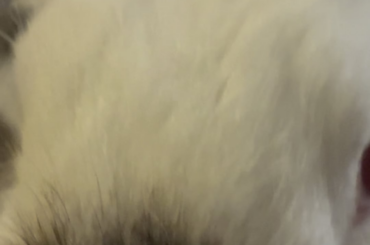 BSA: Treat addiction is real