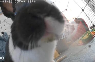 Checked the Camera Today 😂