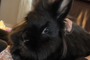 Donnie says Happy Easter
