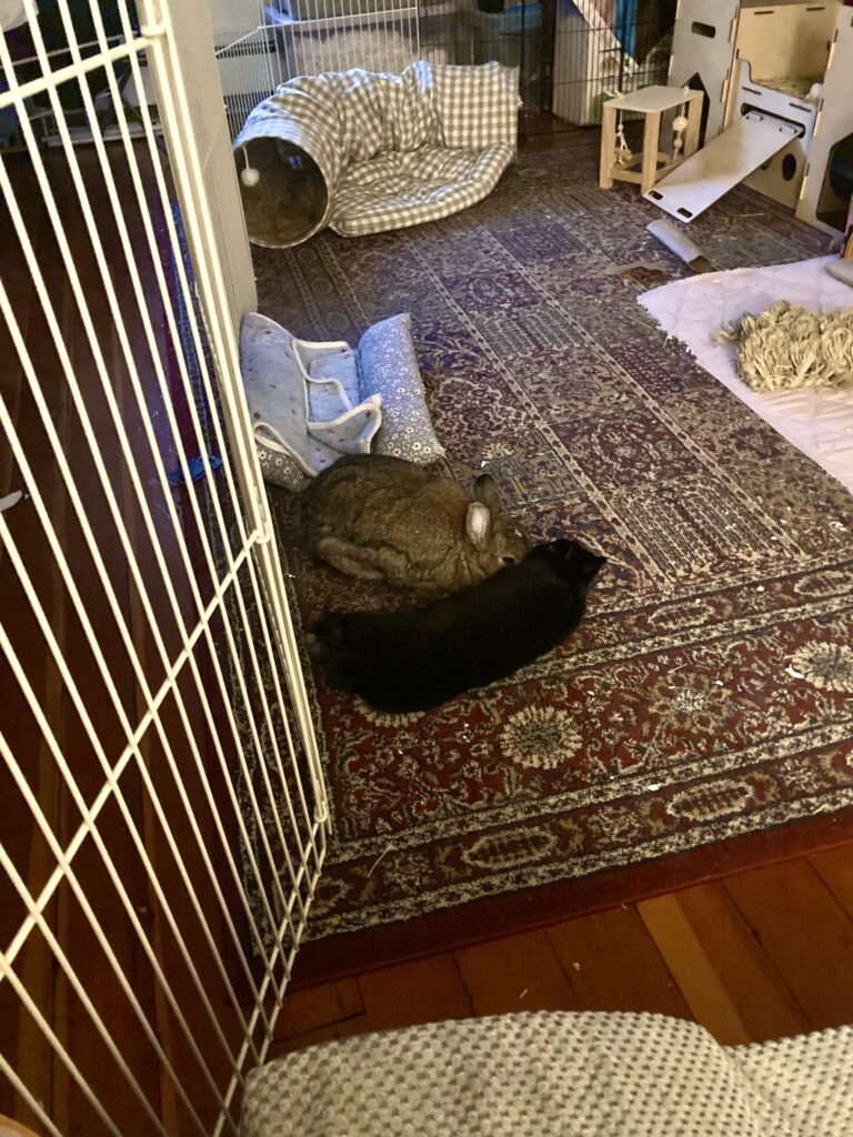 My noodle-shaped void and his woman