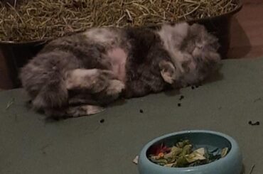 Draw me like one of your french girls